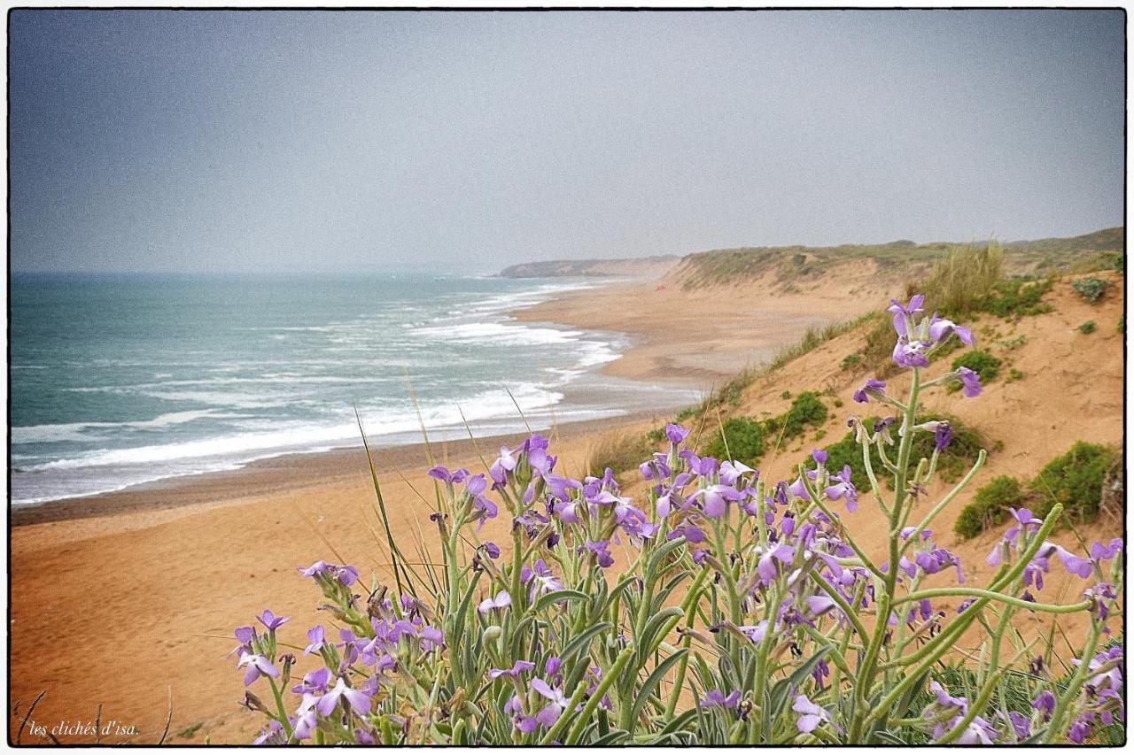 La Calypsette - Face Grande Plage Des Sables D'Olonne Les Sables-d'Olonne Bagian luar foto